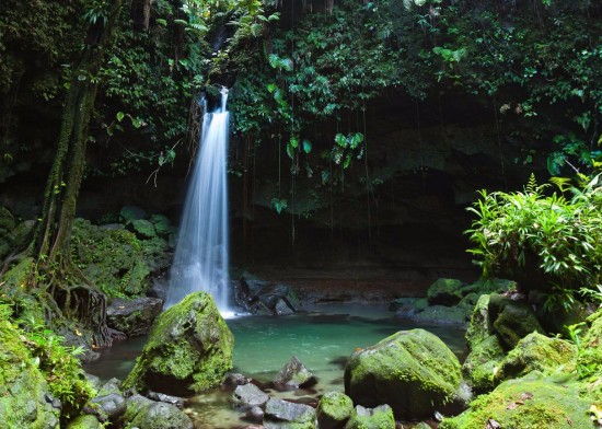 Dominica