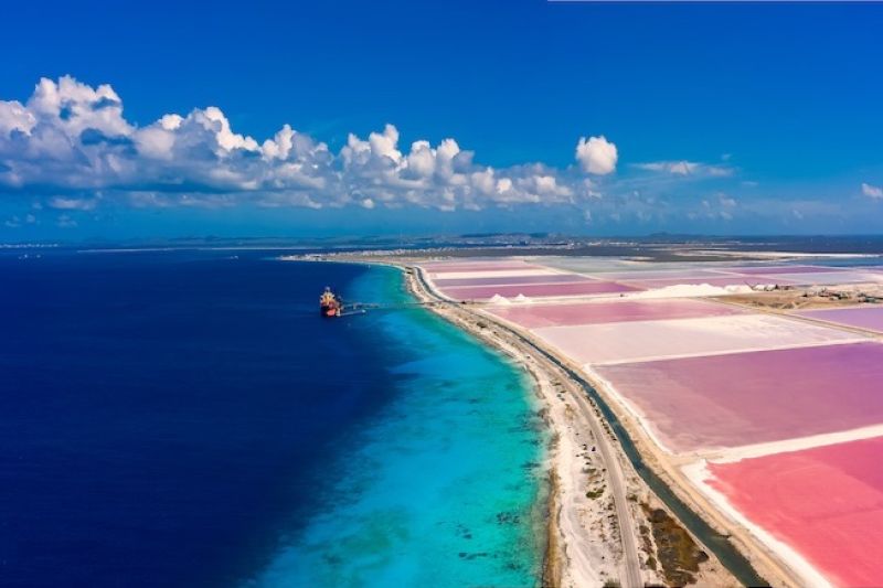 AdobeStock_390648070s