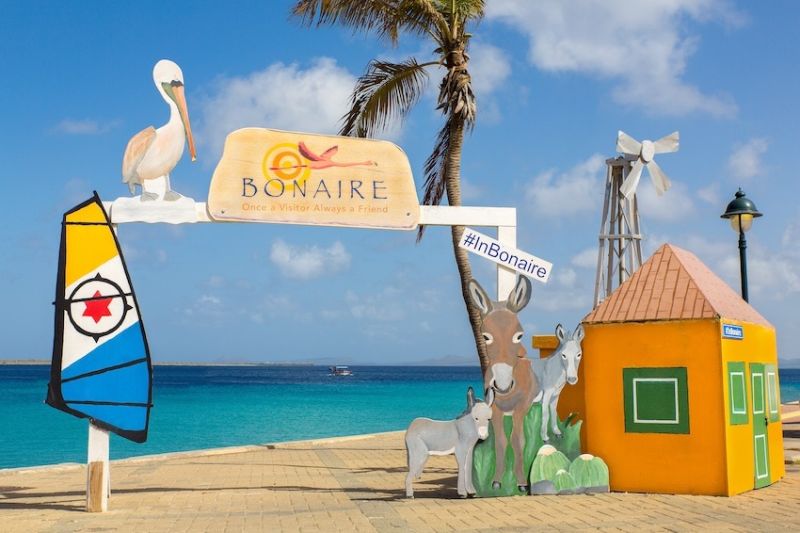 AdobeStock_297783119s