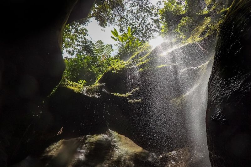 AdobeStock_272165077s