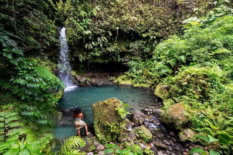 AdobeStock_506046995s