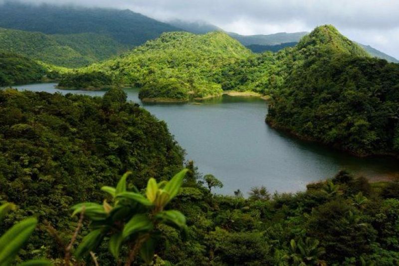 7890-Dominica-Vacation-4
